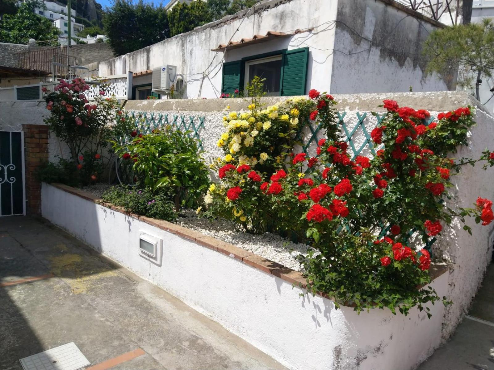 La Marocella Villa Capri Eksteriør bilde